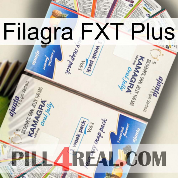 Filagra FXT Plus kamagra1.jpg